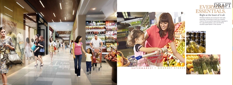 Commercial Shop And Supermarket Business 